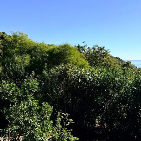 Cap Paradisu - Vue Et Montagne