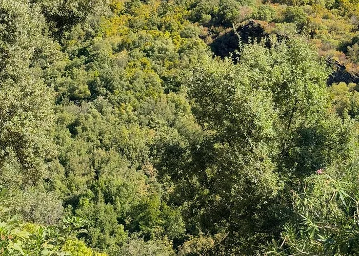 Horská chata Cap Paradisu - Vue Et Montagne *